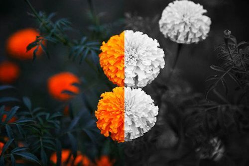 Видеонаблюдение цветное и черно-белое - о цене